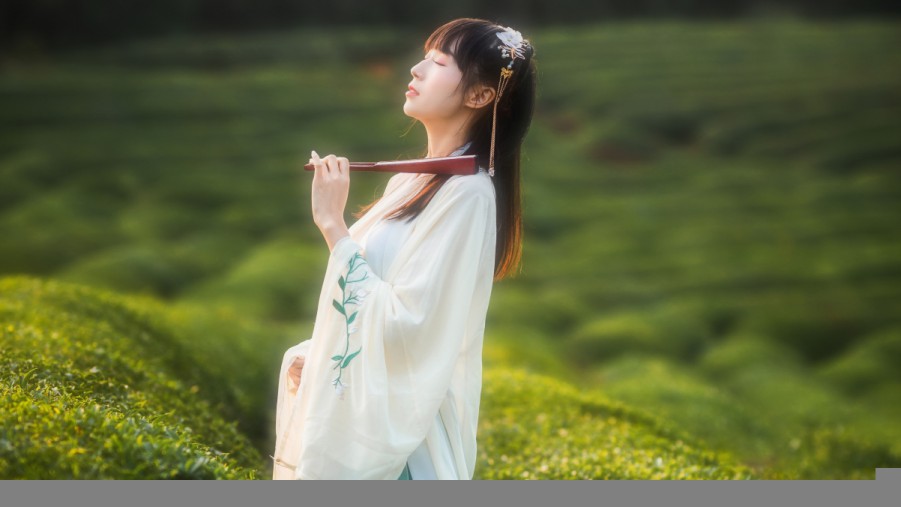 内容营销如何带来自然外链