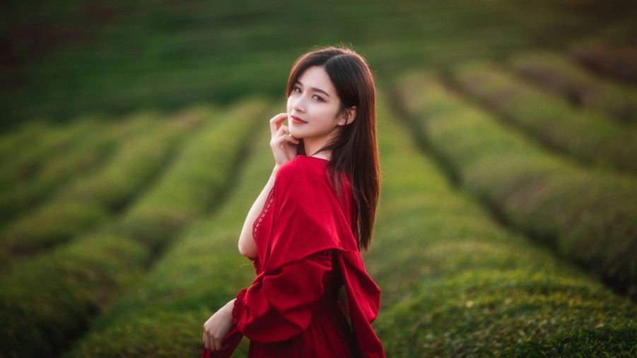 网站安全防护与SEO的关系